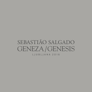 Sebastião Salgado: Geneza