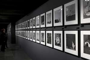 Roger Ballen: Retrospektiva 1982-2004