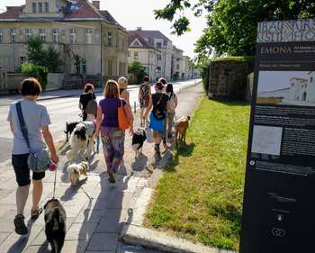 Arheologija, častni meščani in zgodovina Ljubljane