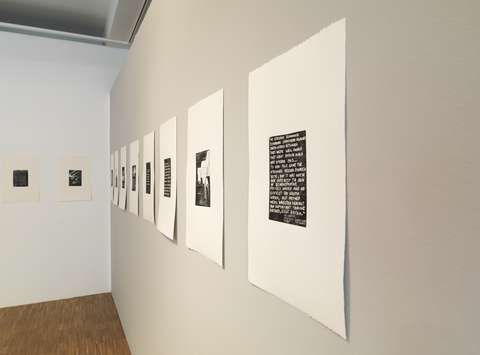 Minna Henriksson & Sezgin Boynik, Works On Paper & Theses On Hardcore, 2015