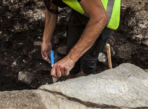 Archaeological Fieldwork