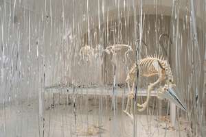 Jan Fabre: The Carnival of the Dead Streetdogs & The Catacombs of the Dead Streetdogs